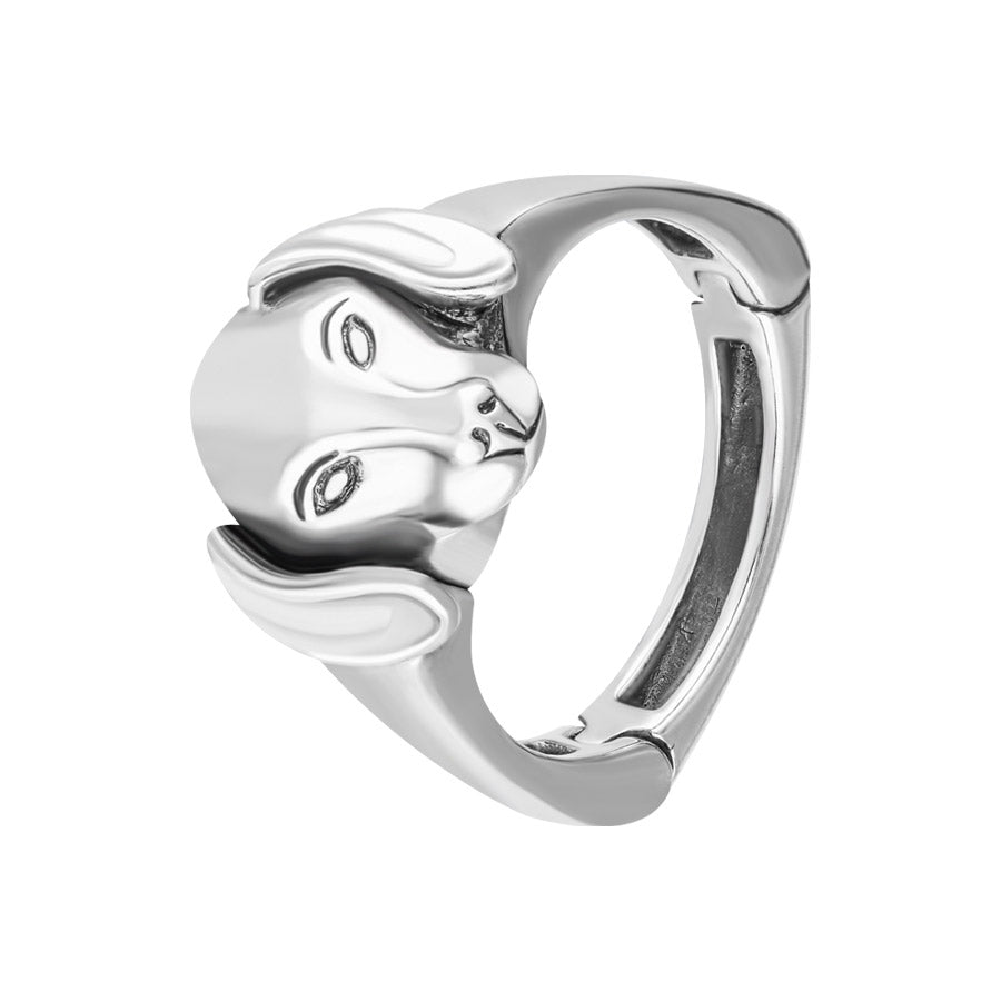 Dachshund Arthritis Rings